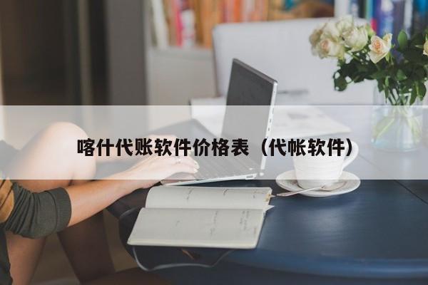 喀什代账软件价格表（代帐软件）