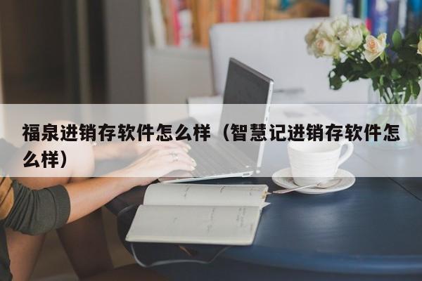 福泉进销存软件怎么样（智慧记进销存软件怎么样）