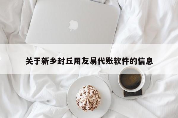 关于新乡封丘用友易代账软件的信息