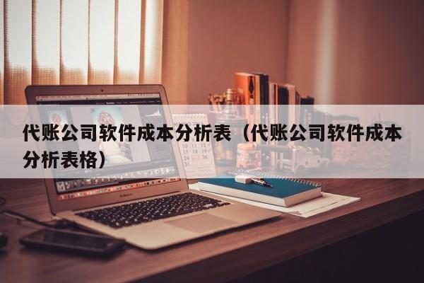 代账公司软件成本分析表（代账公司软件成本分析表格）