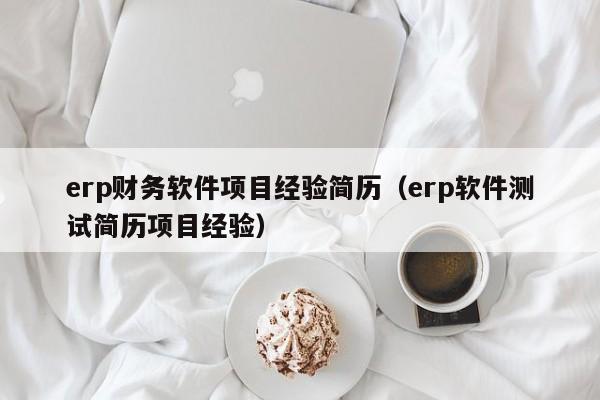 erp财务软件项目经验简历（erp软件测试简历项目经验）