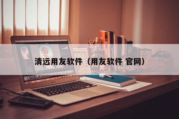 清远用友软件（用友软件 官网）