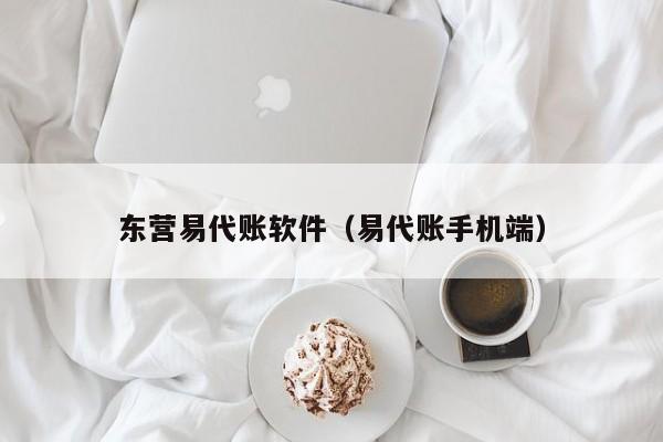 东营易代账软件（易代账手机端）