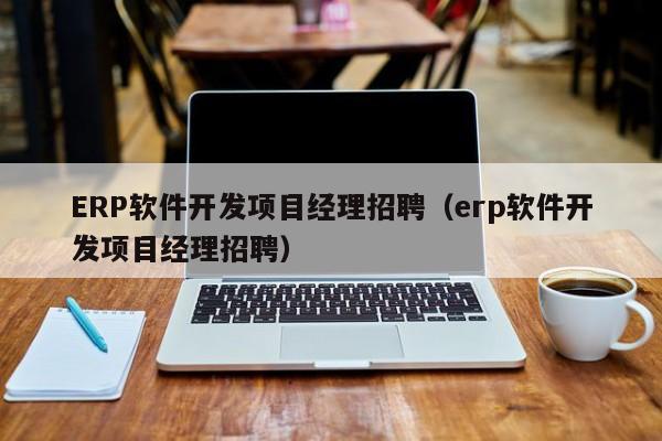 ERP软件开发项目经理招聘（erp软件开发项目经理招聘）