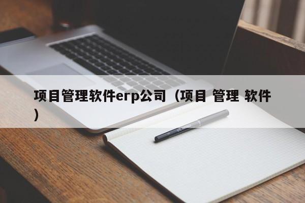 项目管理软件erp公司（项目 管理 软件）