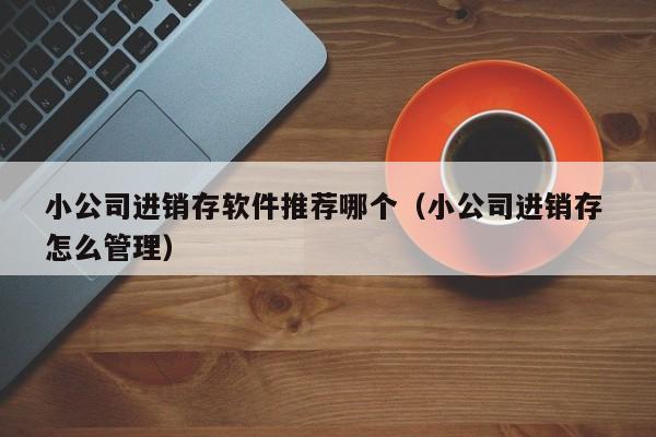 小公司进销存软件推荐哪个（小公司进销存 怎么管理）