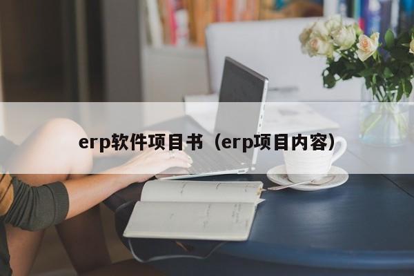 erp软件项目书（erp项目内容）