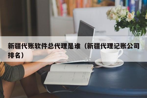 新疆代账软件总代理是谁（新疆代理记账公司排名）