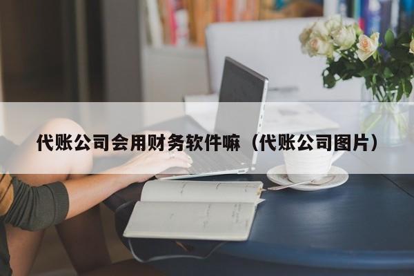 代账公司会用财务软件嘛（代账公司图片）