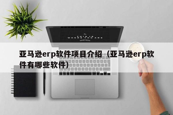 亚马逊erp软件项目介绍（亚马逊erp软件有哪些软件）