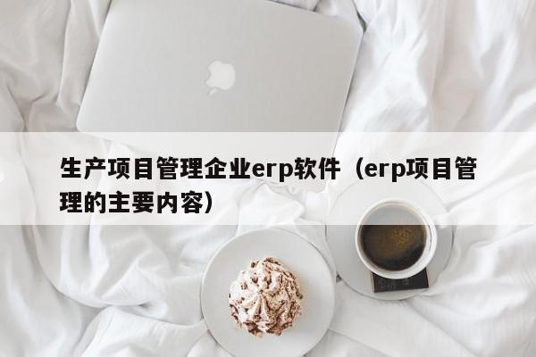 生产项目管理企业erp软件（erp项目管理的主要内容）