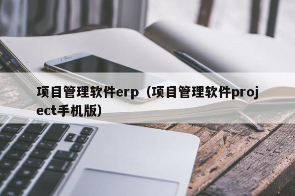 项目管理软件erp（项目管理软件project手机版）