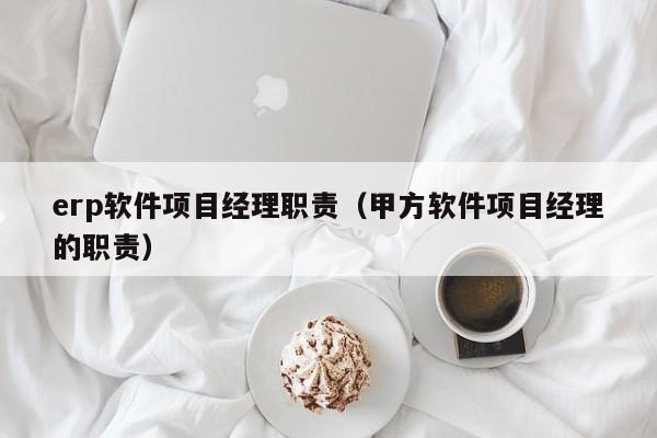 erp软件项目经理职责（甲方软件项目经理的职责）