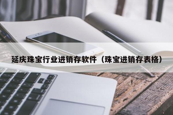 延庆珠宝行业进销存软件（珠宝进销存表格）