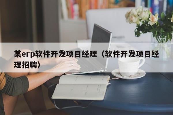 某erp软件开发项目经理（软件开发项目经理招聘）