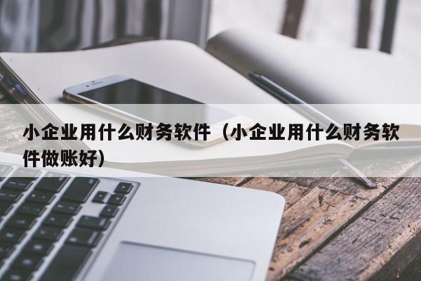 小企业用什么财务软件（小企业用什么财务软件做账好）