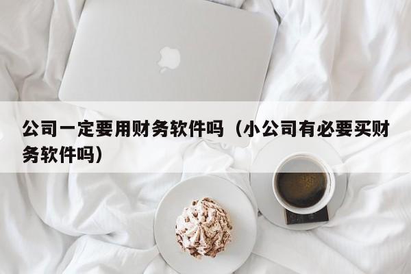 公司一定要用财务软件吗（小公司有必要买财务软件吗）