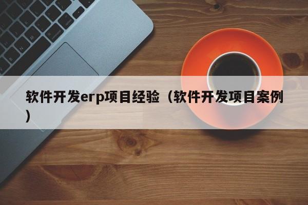 软件开发erp项目经验（软件开发项目案例）