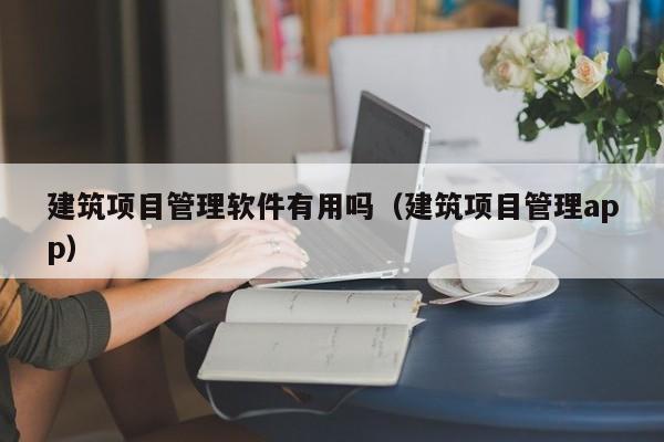 建筑项目管理软件有用吗（建筑项目管理app）