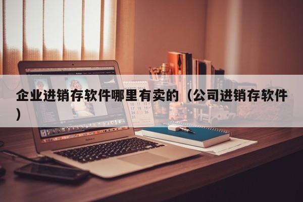 企业进销存软件哪里有卖的（公司进销存软件）