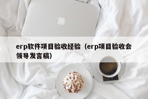 erp软件项目验收经验（erp项目验收会领导发言稿）