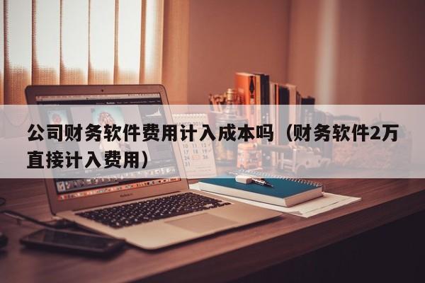 公司财务软件费用计入成本吗（财务软件2万直接计入费用）