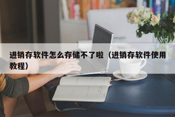 进销存软件怎么存储不了啦（进销存软件使用教程）