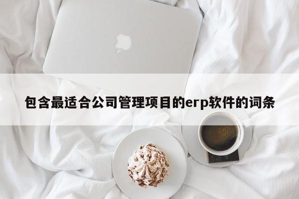 包含最适合公司管理项目的erp软件的词条