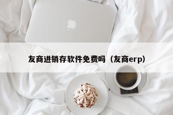 友商进销存软件免费吗（友商erp）