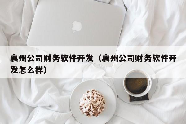 襄州公司财务软件开发（襄州公司财务软件开发怎么样）