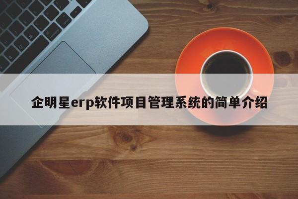 企明星erp软件项目管理系统的简单介绍