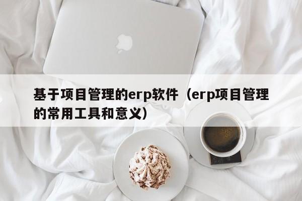 基于项目管理的erp软件（erp项目管理的常用工具和意义）