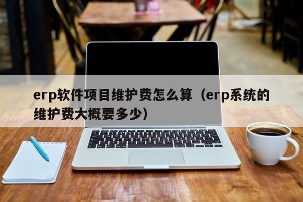 erp软件项目维护费怎么算（erp系统的维护费大概要多少）