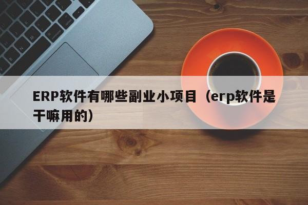 ERP软件有哪些副业小项目（erp软件是干嘛用的）