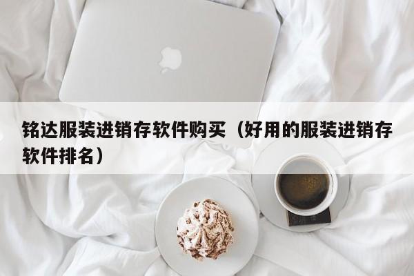 铭达服装进销存软件购买（好用的服装进销存软件排名）