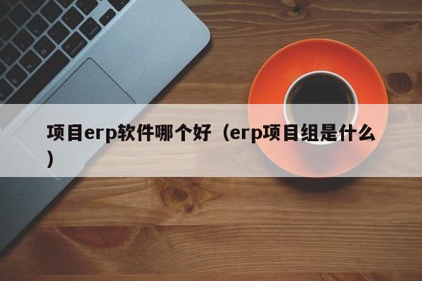 项目erp软件哪个好（erp项目组是什么）