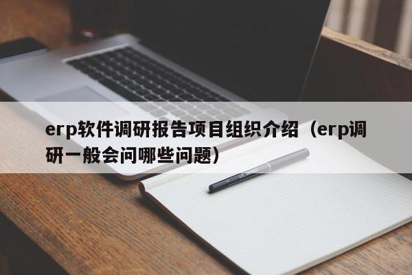 erp软件调研报告项目组织介绍（erp调研一般会问哪些问题）