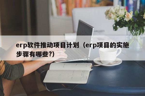 erp软件推动项目计划（erp项目的实施步骤有哪些?）