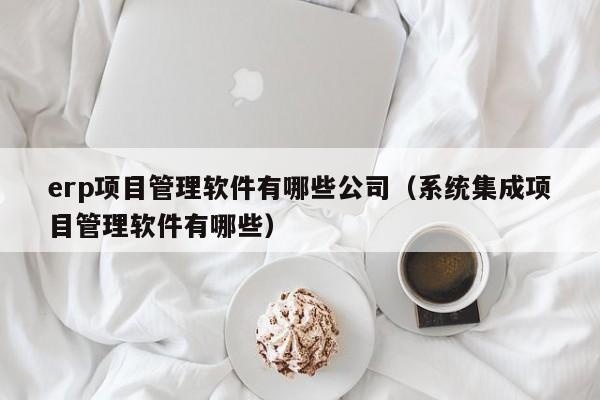 erp项目管理软件有哪些公司（系统集成项目管理软件有哪些）