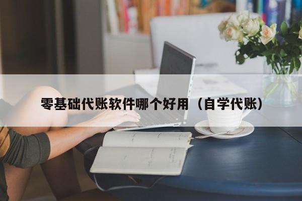 零基础代账软件哪个好用（自学代账）