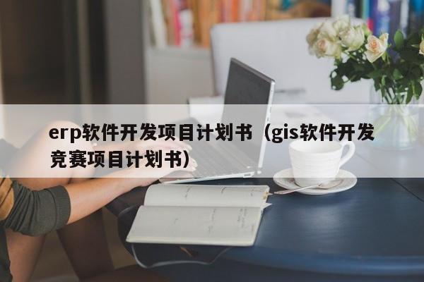 erp软件开发项目计划书（gis软件开发竞赛项目计划书）