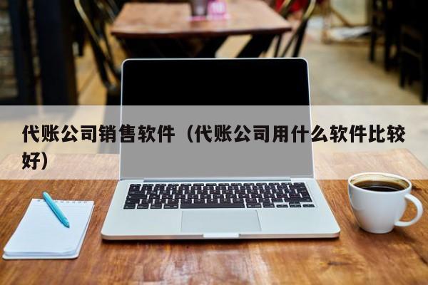 代账公司销售软件（代账公司用什么软件比较好）