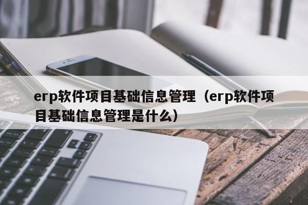 erp软件项目基础信息管理（erp软件项目基础信息管理是什么）