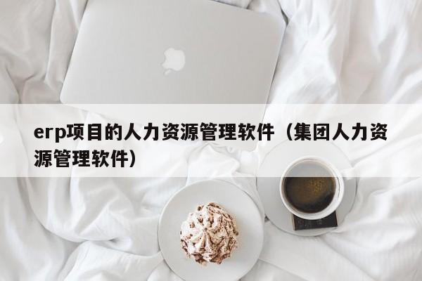 erp项目的人力资源管理软件（集团人力资源管理软件）