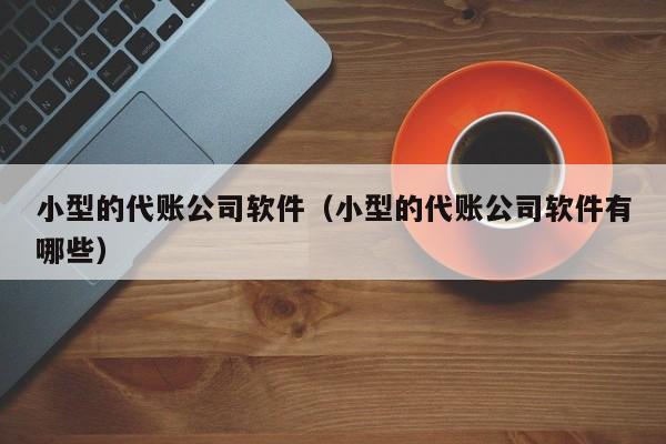 小型的代账公司软件（小型的代账公司软件有哪些）