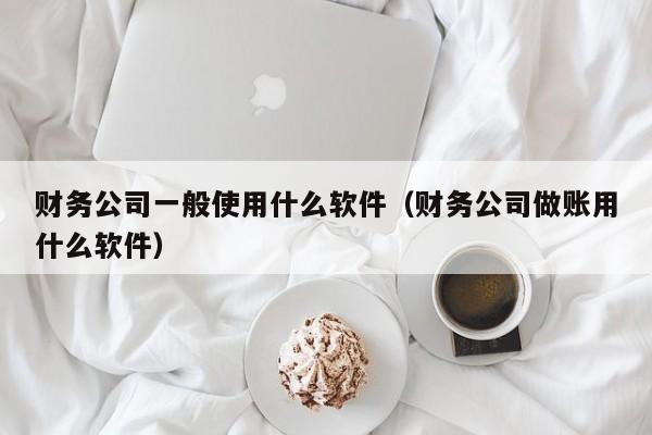 财务公司一般使用什么软件（财务公司做账用什么软件）