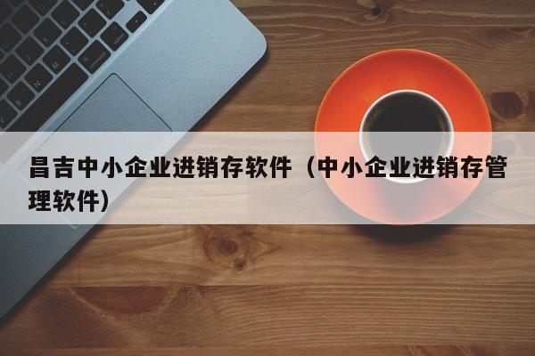 昌吉中小企业进销存软件（中小企业进销存管理软件）