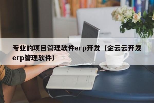 专业的项目管理软件erp开发（企云云开发erp管理软件）