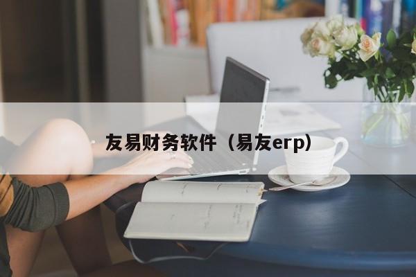 友易财务软件（易友erp）