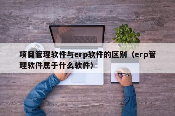 项目管理软件与erp软件的区别（erp管理软件属于什么软件）